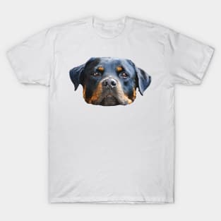 The Rottweiler the best dog for you T-Shirt